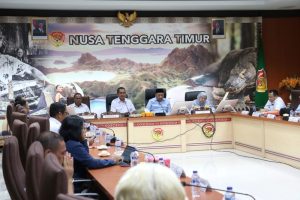 Gubernur Melki Sampaikan Sejumlah Persoalan Mendasar di NTT Ke Komisi X DPR RI
