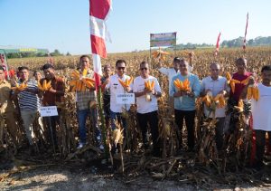 Gubernur NTT : Panen Raya Simbol Keberhasilan Petani Dalam Mengelola Lahan