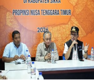 3.942 Rumah Di Sikka Rusak Akibat Gempa, 19.737 Jiwa Mengungsi Mandiri